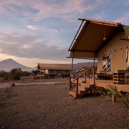 Africa Safari Lake Natron Mtowabaga Eksteriør bilde