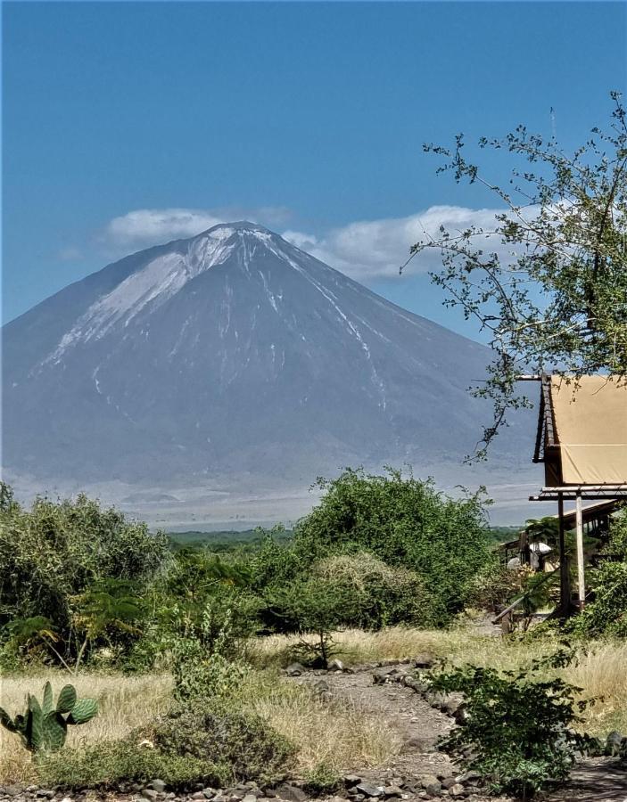 Africa Safari Lake Natron Mtowabaga Eksteriør bilde
