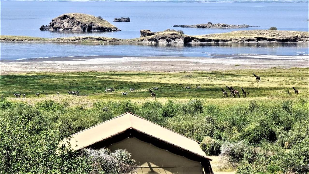 Africa Safari Lake Natron Mtowabaga Eksteriør bilde