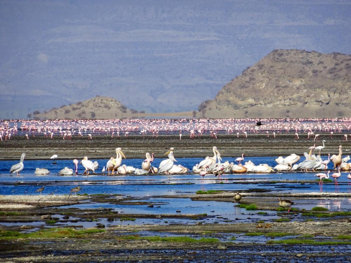 Africa Safari Lake Natron Mtowabaga Eksteriør bilde